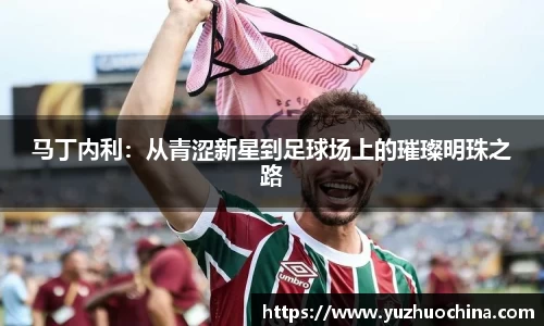 马丁内利：从青涩新星到足球场上的璀璨明珠之路